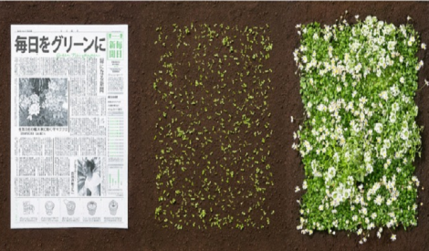 صحيفة خضراء تتحوّل إلى أزهار