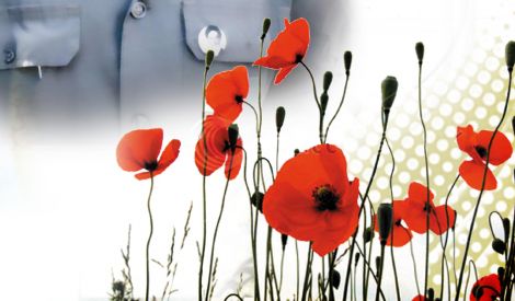 ثقافة الشهادة
