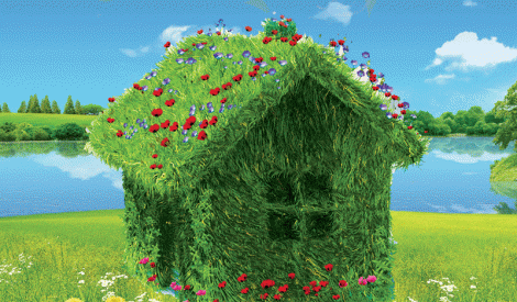 أجوبة الاستفتاءات في أحكام الوطن
