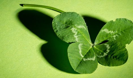 واحة المجلة