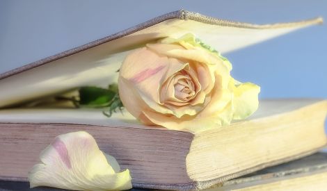 قرأت لك: الحياة العائلية