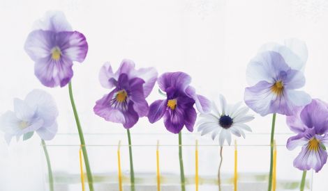 مناجاة الزاهدين(5): وَتَوَلَّ أُمُورَنَا بِحُسْنِ كِفَايَتِكَ