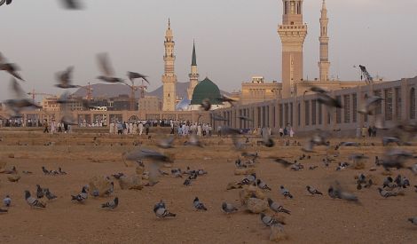 أحياء تحت ثرى البقيع‏