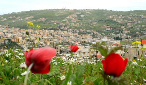 بأقلامكم: خلسةً يا تُرى..
