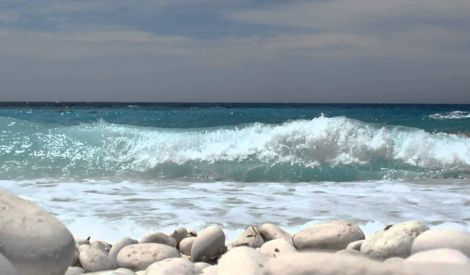 بطل العملية البحرية النوعية الأولى الشهيد رسيل أحمد رحال‏
