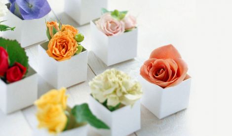 تزكية الأخلاق حقيقة العلم(*)