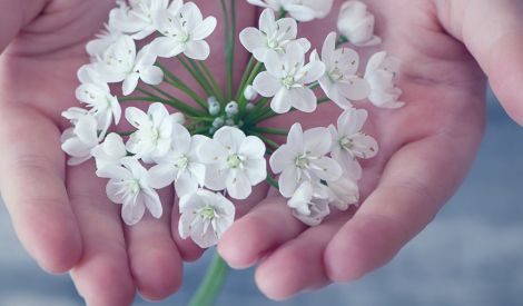 شباب: كيف تجد الخير؟