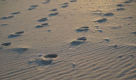 بأقلامكم:  مركب من المجـهول