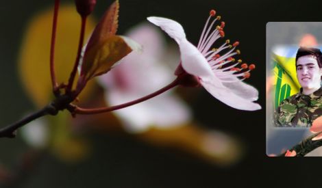 بأقلامكم: صوتك باسم 