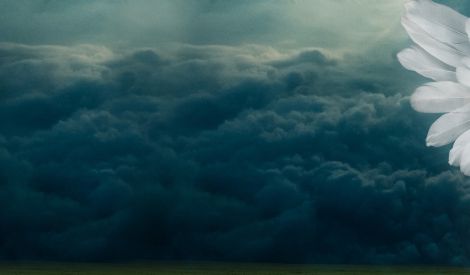 شباب: حينها.. نضيع!