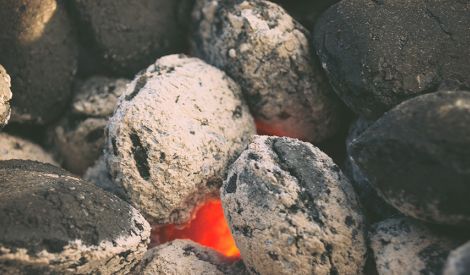 آخر الكلام‏: صرخة ألم: 