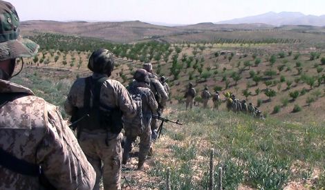 أول الكلام: ثقافة الحياة... الحرية للأحرار