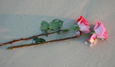 الوالدان: حقوق وعقوق‏