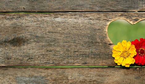 عقوق الوالدين في الكتاب والسنّة