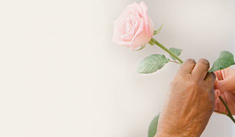 صور من الحياة: وبالوالدين إحساناً