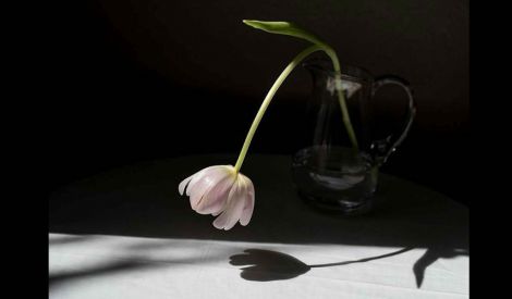 آخر الكلام‏: كل عام وأنتم تائبون‏