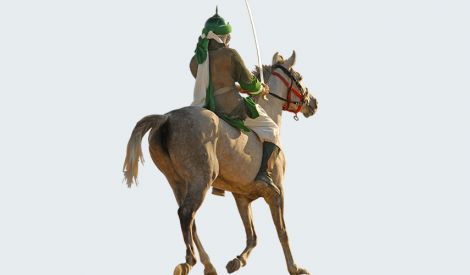 في رحاب بقية اللَّه‏: صاحب السيف‏