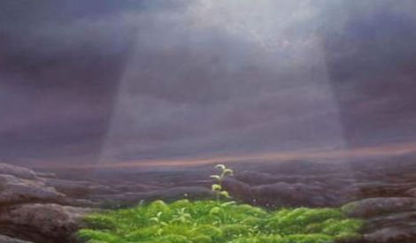 مشاركات القراء: النور والظلمة من المنظور العلمي والقرآني