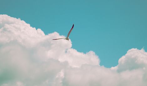 
آخر الكلام‏: طلاق بالثلاثة