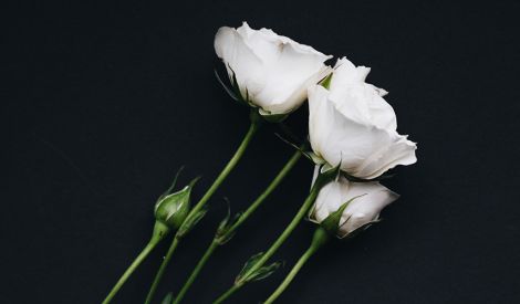 الإخلاص شرط العبودية