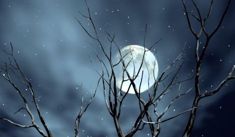 نصوص تراثية: تذكر يا ولدي ستَر الله عليك
