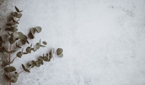 الآداب المضيّعة .. والأعراف الدخيلة