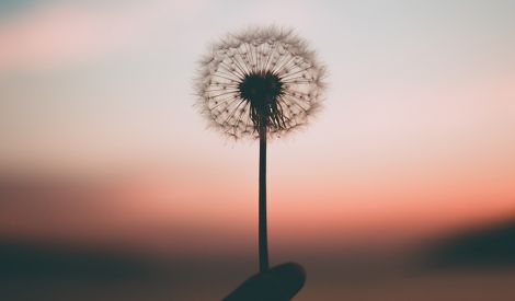 عزيزي القارئ