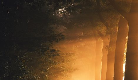 نحو فقهٍ واعٍ: الانتحار والاستشهاد