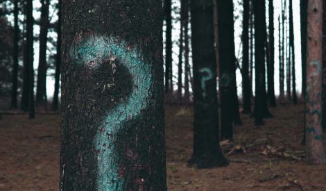 استفتاءات القائد في الغصب