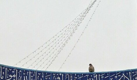 بأقلامكم: ليتني أعرج إليك