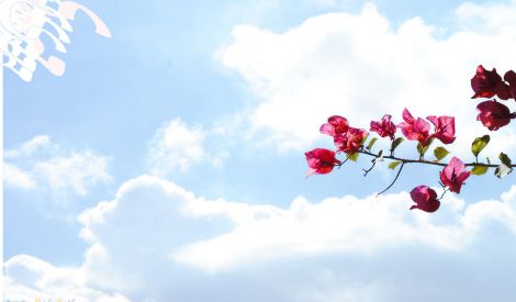 وراثة المستضعفين