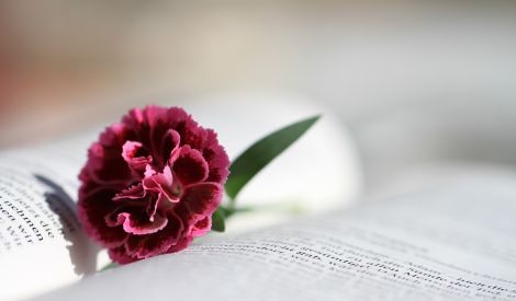 قرأت لك: شبهة وتوضيح