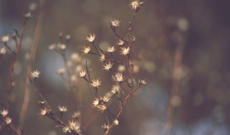 قصة وعبرة: حق الأم