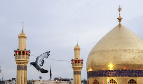 نور روح الله | الإمام عليّ عليه السلام الحاكم العادل*