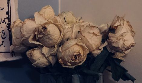 مناسبات العدد