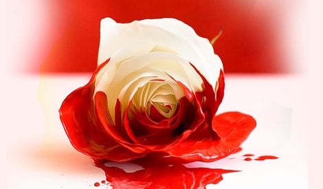 تذيع سرّاً تسفك دماً