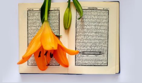 نور روح الله | الوعي بوصلة المؤمنين