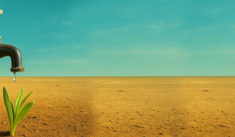 الافتتاحية | ربُّ المنع والعطاء