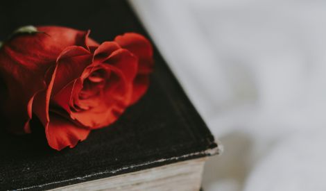 مناسبات العدد