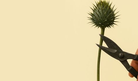 بالاستغفار والتوبة نتعـافـى