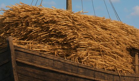 قصة | وزن الفيل والقصب