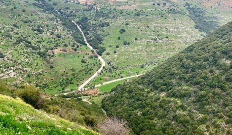 محميّة وادي الحجير: كنزُ الجنوب الصامد (1)