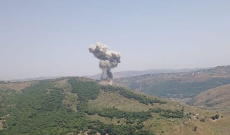 محميّة وادي الحجير: كنزُ الجنوب الصامد (2)