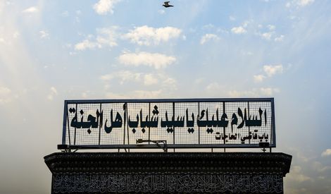 أنصار الحسين عليه السلام ومبادئ المقاومة