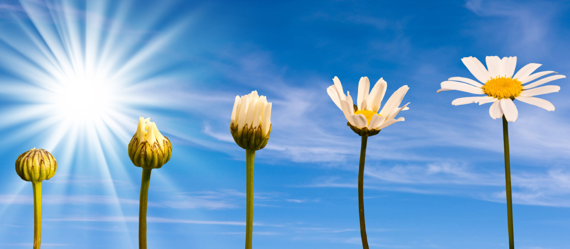 الشباب: ضرورة تغييرية كبرى
