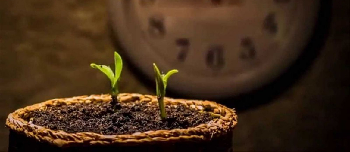 كيف يُقطع سبيل المعروف؟ 
