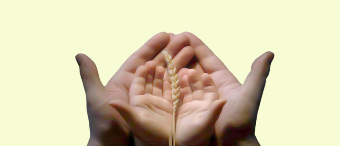 وكن من الشاكرين