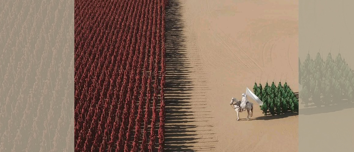 نحنُ أبناء التكليف